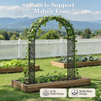 Metal Garden Arch, Heavy Duty Garden Trellis for Climbing Plants