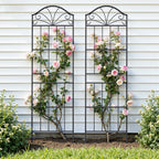 VOXOR Metal Trellis for Climbing Plants Outdoor,2 Pack
