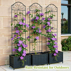 VOXOR Metal Trellis for Climbing Plants Outdoor,2 Pack