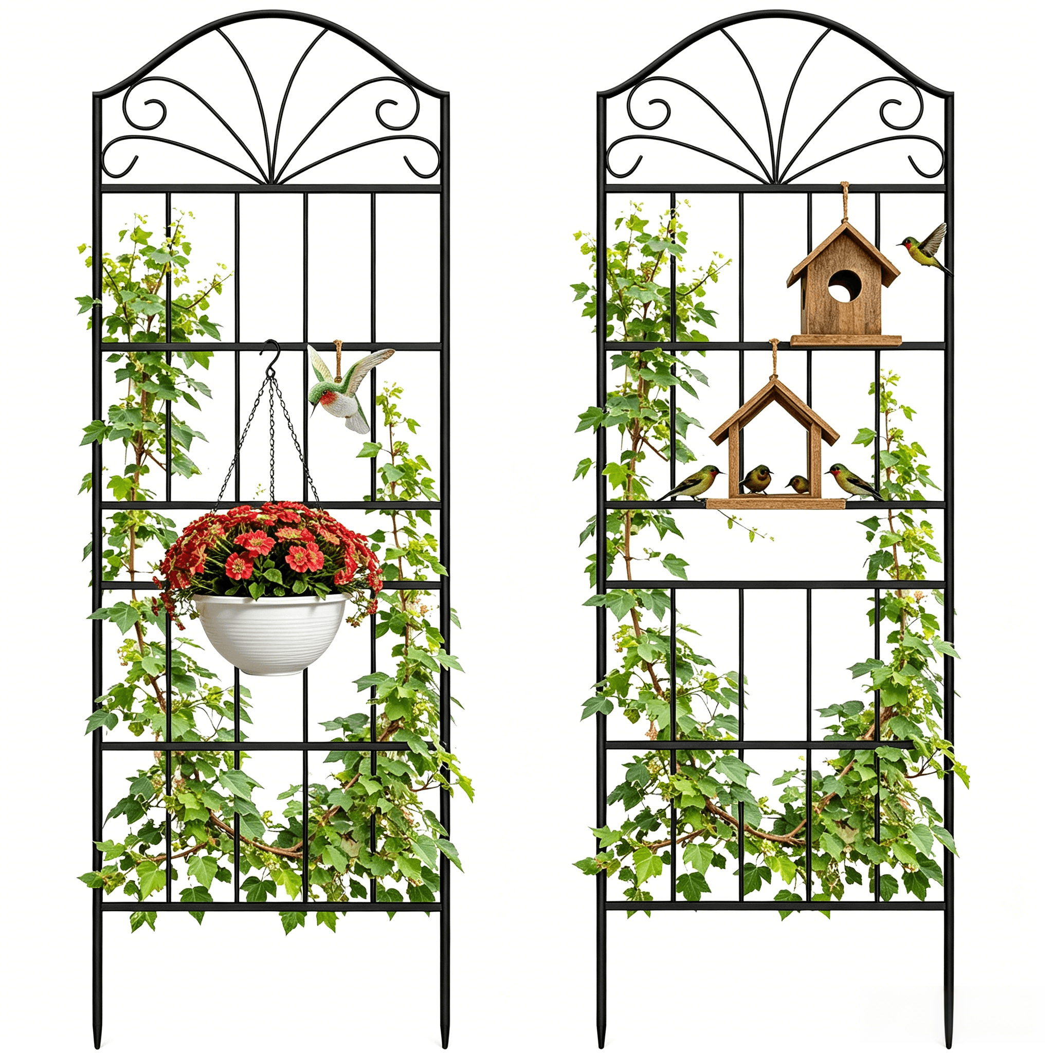 VOXOR Metal Trellis for Climbing Plants Outdoor,2 Pack