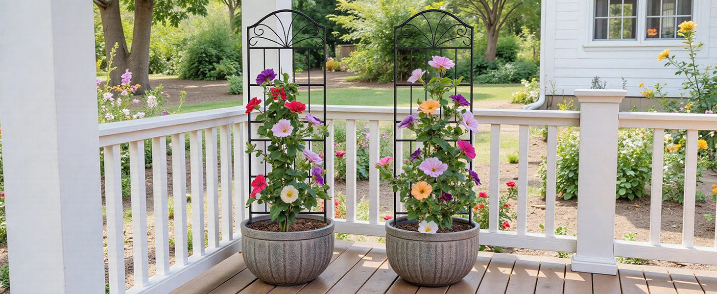 VOXOR Metal Trellis for Climbing Plants Outdoor,2 Pack